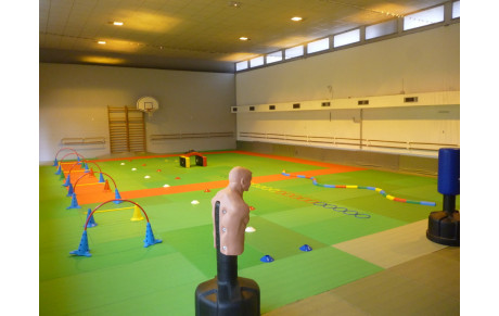 INITIATIONS D'ETE A MERIGNAC : "LES VACANCES AU DOJO"